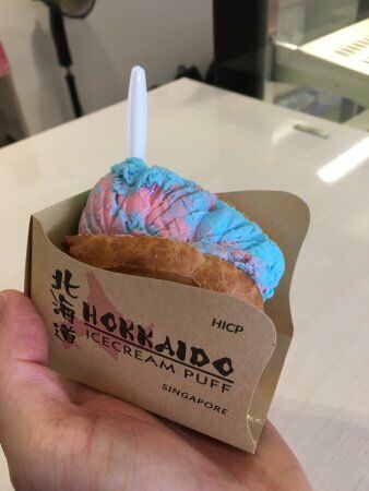Hokkaido Ice Cream Puff